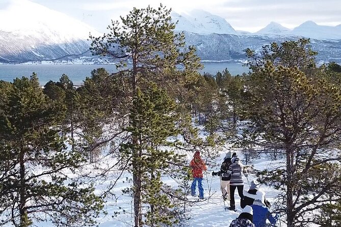 Guided Easy Snowshoeing With a Visit to Local Café - Cozy Café Visit