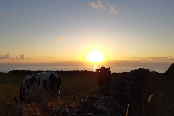 Half-Day Farm Visit and Cow Milking Experience - Traveler Reviews