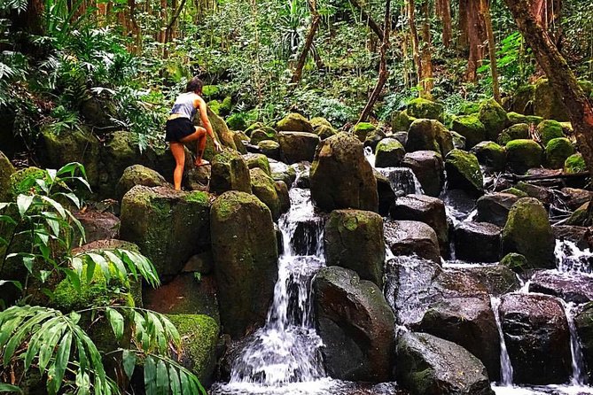 Half-Day Kayak and Waterfall Hike Tour in Kauai With Lunch - Customer Experiences