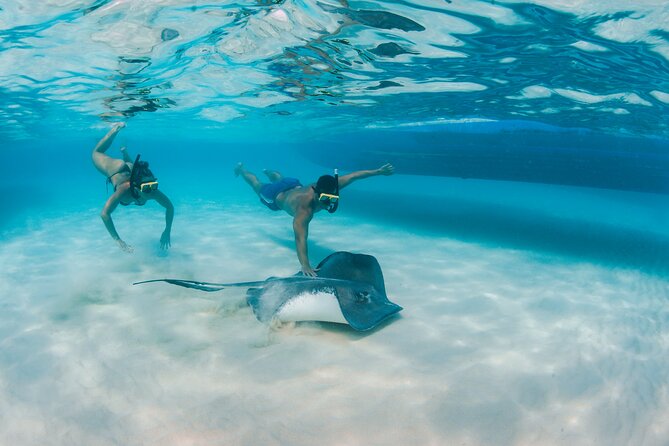 Half-Day Private Stingray City Charter - Grand Cayman - BTC - Highlights and Experiences