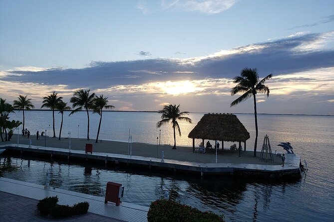 Half Day Snorkel Trip on Reefs in the Florida Keys - Positive Traveler Reviews and Feedback