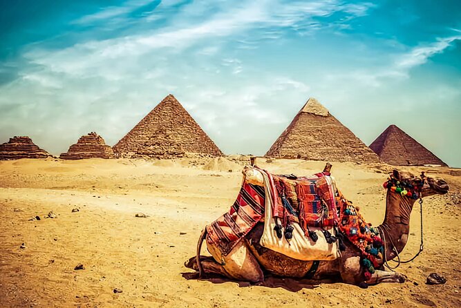 Half Day Tour Giza Pyramids ,Sphinx,Camel &Lunch&Tickets Included - Giza Pyramids and Sphinx