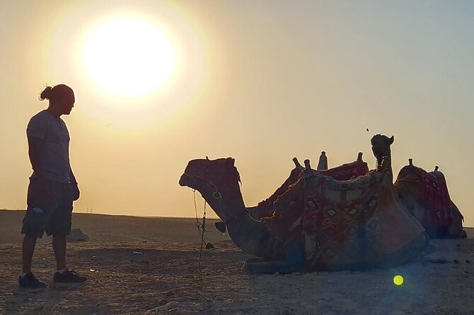 Half-Day Trip to Pyramids and the Sphinx With Camel Ride - Camel Ride Experience