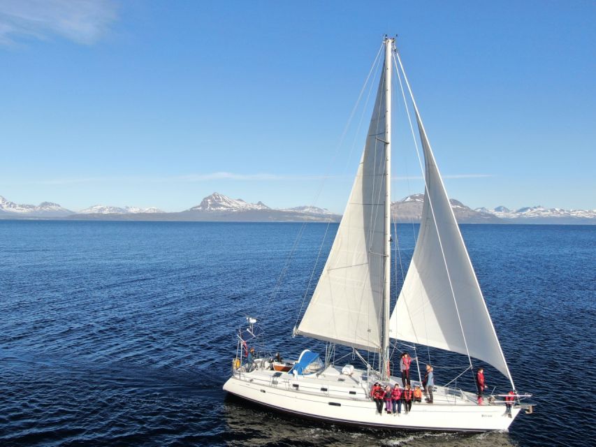 Harstad: Fjord Cruise Sailing With Skipper - Onboard Amenities and Experiences