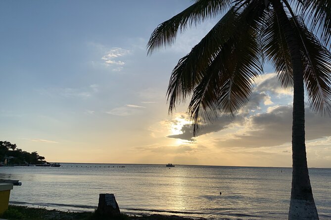 Healing Retreat, Beach and Bio Bay Tour in Puerto Rico - Discovering Local Culture