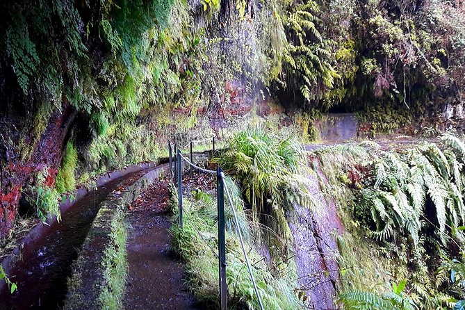 Hidden Corners: Levada Walk From Funchal - Ratings and Reviews