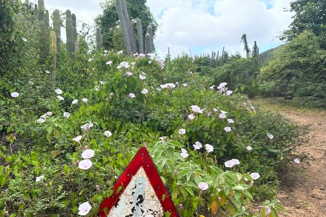 Hike Goto Flamingo Meer Trail & Explore North Bonaire - Exploring North Bonaire