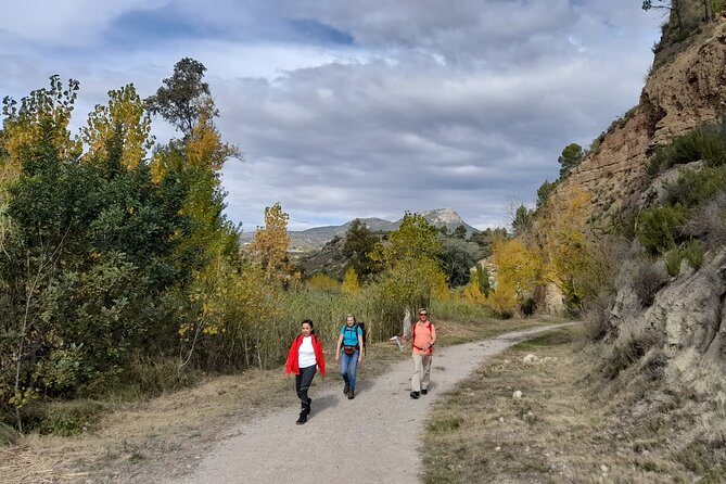 Hike to the Roman Aqueduct Peña Cortada - Experience Highlights