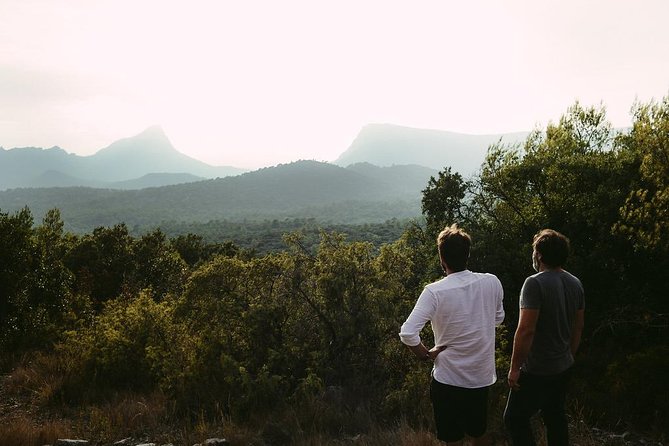 Hike to the Top of Pic Saint Loup, Wine & Food - Wine Tasting Experience