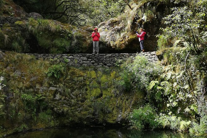 Hiking and Trekking Tours in Madeira - Pickup at Accommodation