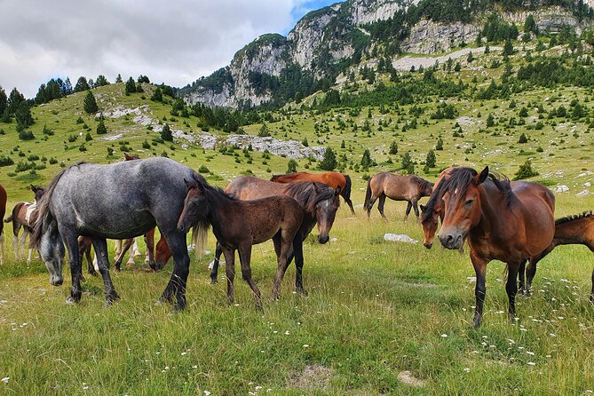 Hiking Prenj, Velika Kapa - Ideal Hiking Period