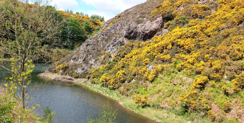 Hill & Nature Hike - Discover Real Edinburgh With a Local - What to Expect