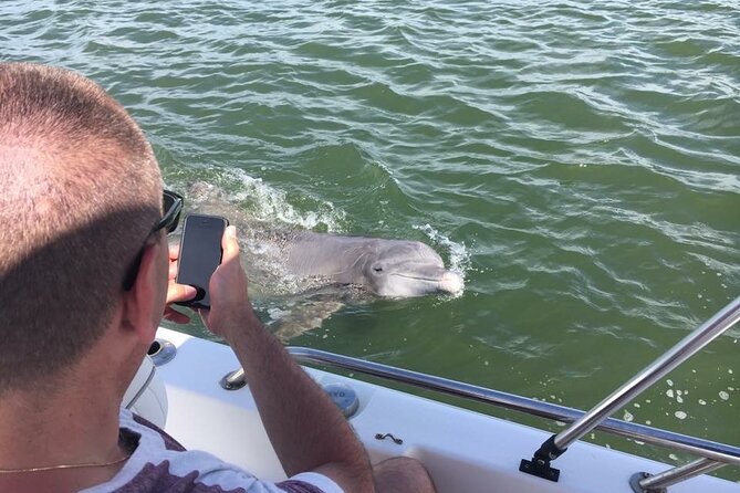 Hilton Head Island Dolphin Boat Cruise - Marine Life and Bird Watching