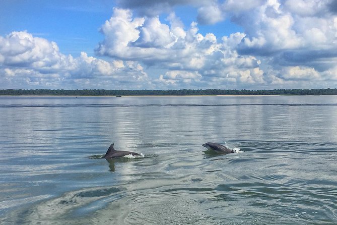 Hilton Head Island Guided Water Tour by Creek Cat Boat - Pricing and Booking