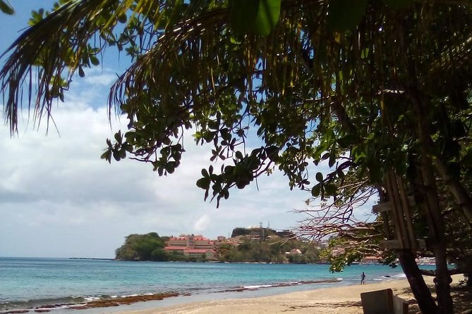 Historical Tours of Grenada - Traveler Reviews