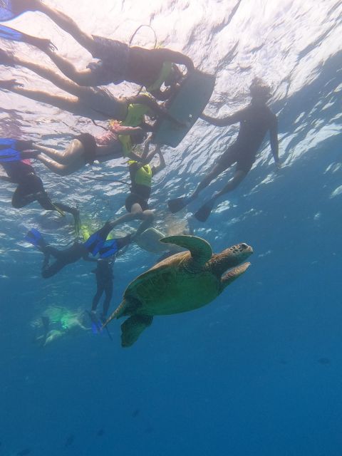 Honolulu: Snorkel With Turtles, Water Scooter, Paddleboard - Enjoyable Water Activities