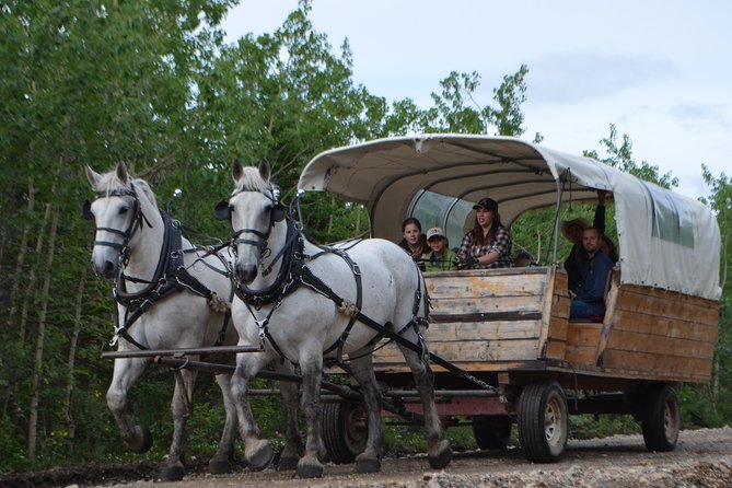 Horse-Drawn Covered Wagon Ride With Backcountry Dining - Cancellation Policy