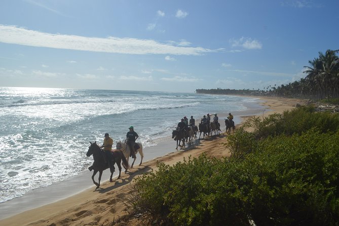 Horse Riding (1 Hour) - Booking and Payment Options