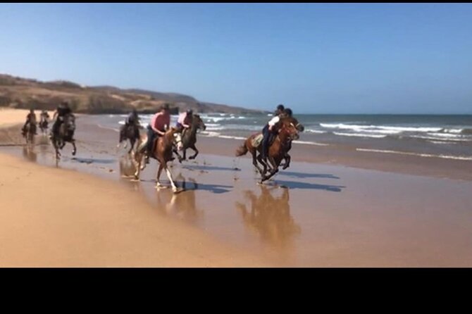 Horse Riding Agadir - Pickup Details and Charges