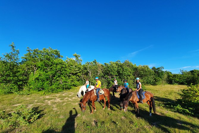 Horse Riding in Haute Provence, Luberon, and Forcalquier - Scenic Landscapes and Riding