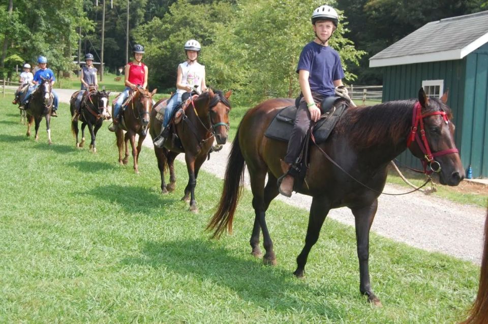 Horse Riding Tour in Alanya - Countryside Exploration