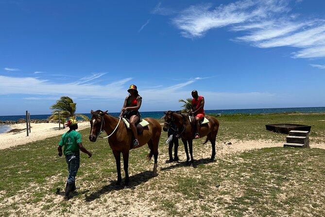 Horseback Ride and Swim Private Tour From Montego Bay - Swimming and Water Activities