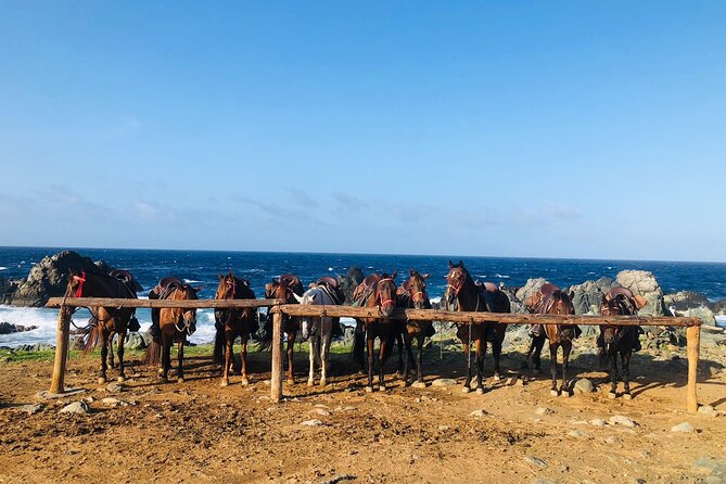 Horseback Ride Tour to Natural Pool in Arikok National Park - Visiting the Natural Pool