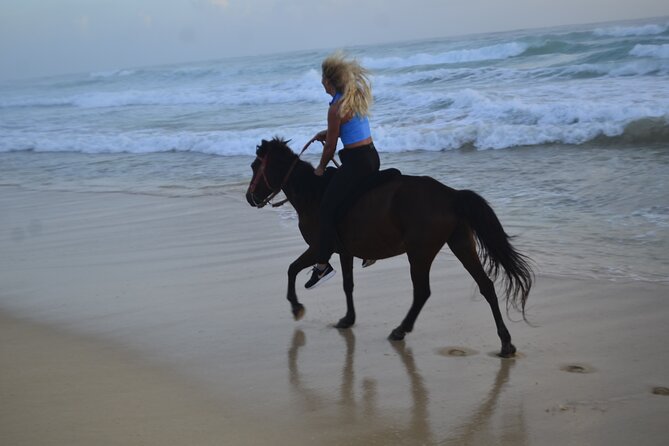 Horseback Riding at Sunrise on the Beach of Punta Cana - Typical Dominican Drinks