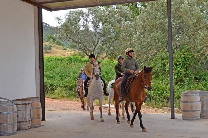 Horseback Riding In Lisbon - Arrábida - Louro Trail Mountain 5 - 6 Hours - Cancellation Policy