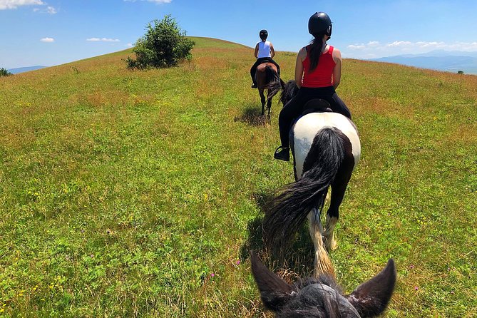 Horseback Riding Tour In Brasov - Ride Through Fields, Forests & Hills - Reviews and Ratings