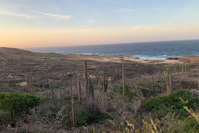 Horseback Riding Wariruri Beach Tour in Aruba - Aruba Horse Tour Highlights