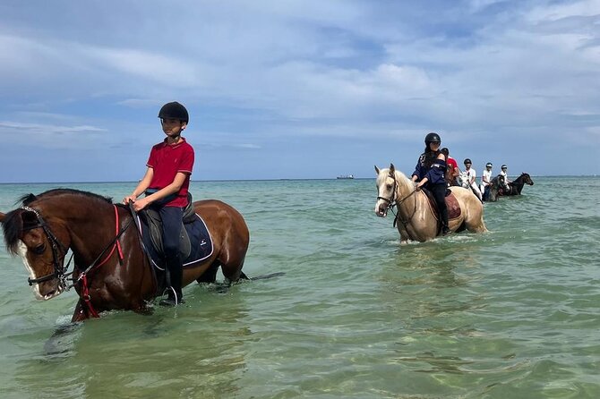 Horseback Riding With Private Transfer - Meeting Location and Directions