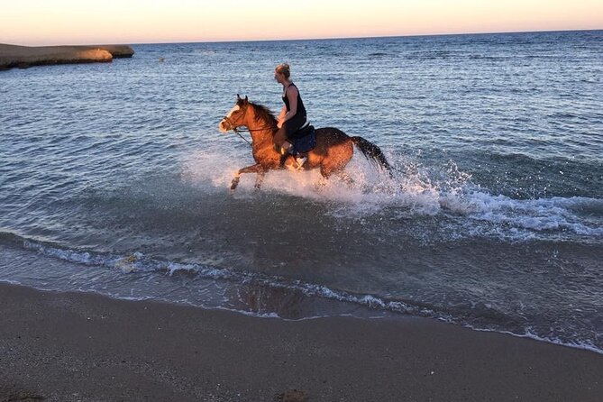 Hurghada: 2 Hours Camel and Horse Riding Adventure on The Sea. - Exploring Hurghadas Landscapes