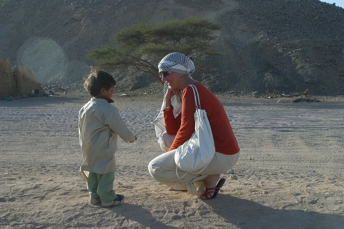 Hurghada Desert Safari on Quad Bikes With Camel for 3 Hours - Operator and Pricing Information