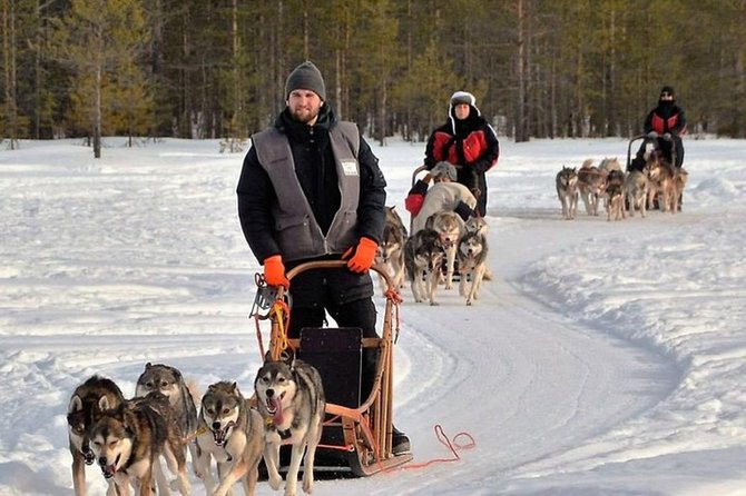 Husky Safari From Levi 2 KM or 5 KM With Husky Sledge Ride - Children and Adults