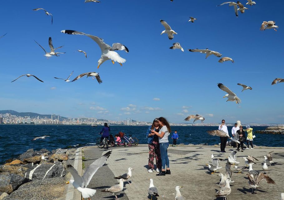 Istanbul: Round-Trip Ferry Tickets to the Princes Islands - Ferry Departure and Return Schedule