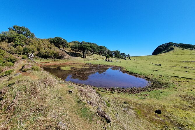 Jeep 4x4 Full Day West, Porto Moniz, Skywalk, Natural Swimming Pools, Waterfalls - Panoramic Glass Viewing