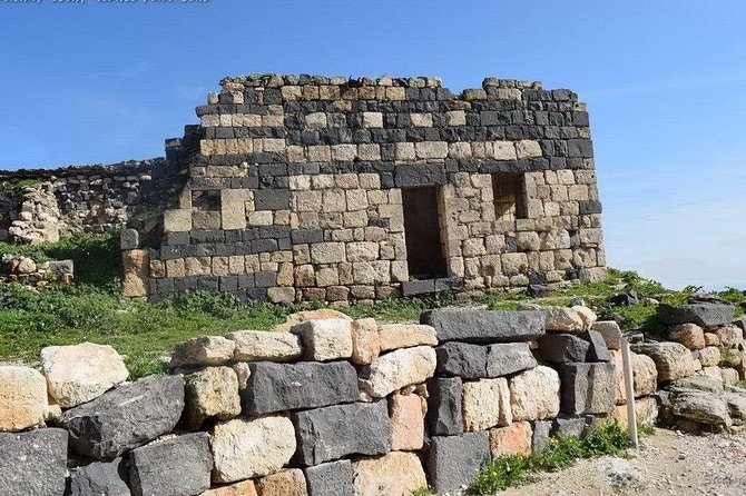 Jerash, Ajloun, and Umm Quais Full-Day Tour - Visiting Jerash