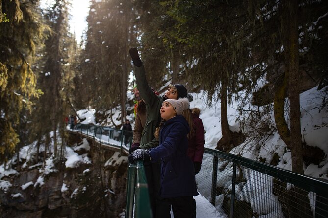 Johnston Canyon Frozen Waterfalls & Banff Backroads Wildlife Tour - Cancellation Policy