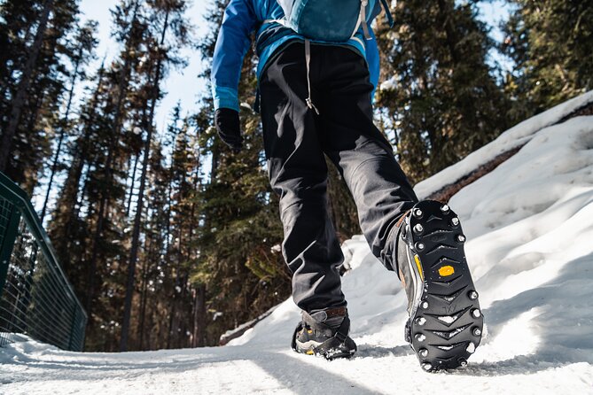 Johnston Canyon Icewalk - Additional Information