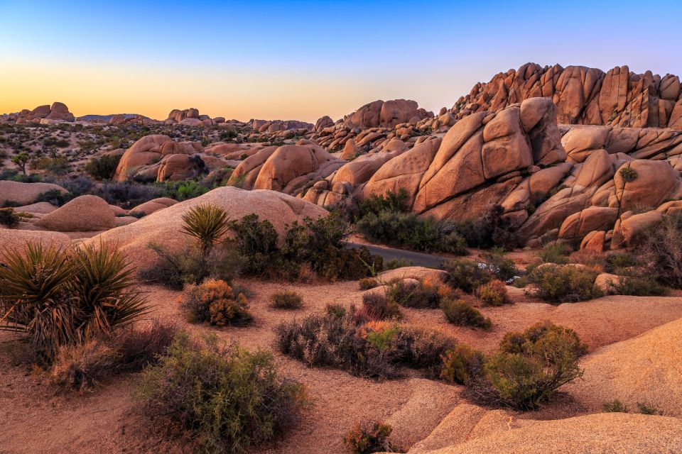 Joshua Tree National Park: Self-Driving Audio Tour - Unique History and Cultural Significance