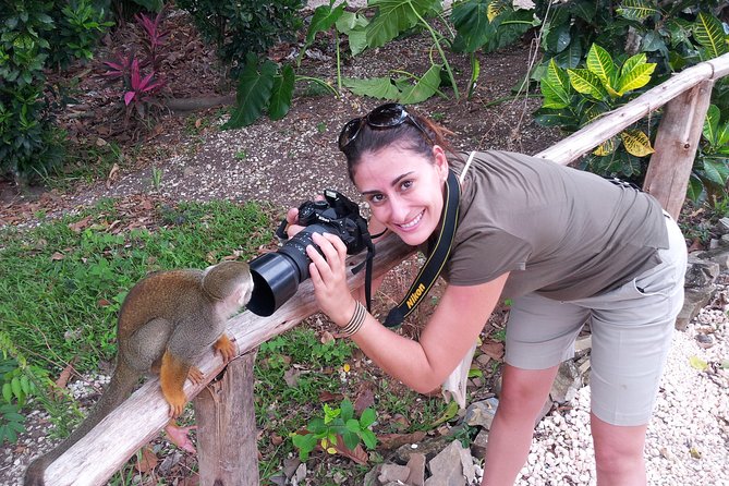 Jungle Buggies and Monkeyland From Punta Cana - Important Tour Information