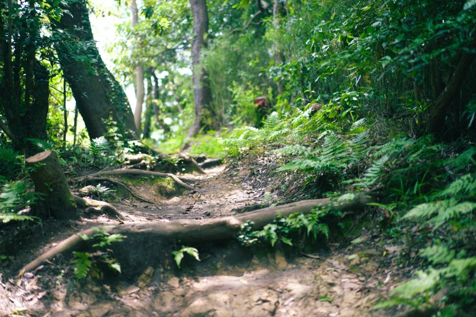 Kamakura Historical Walking Tour With the Great Buddha - Recommendations