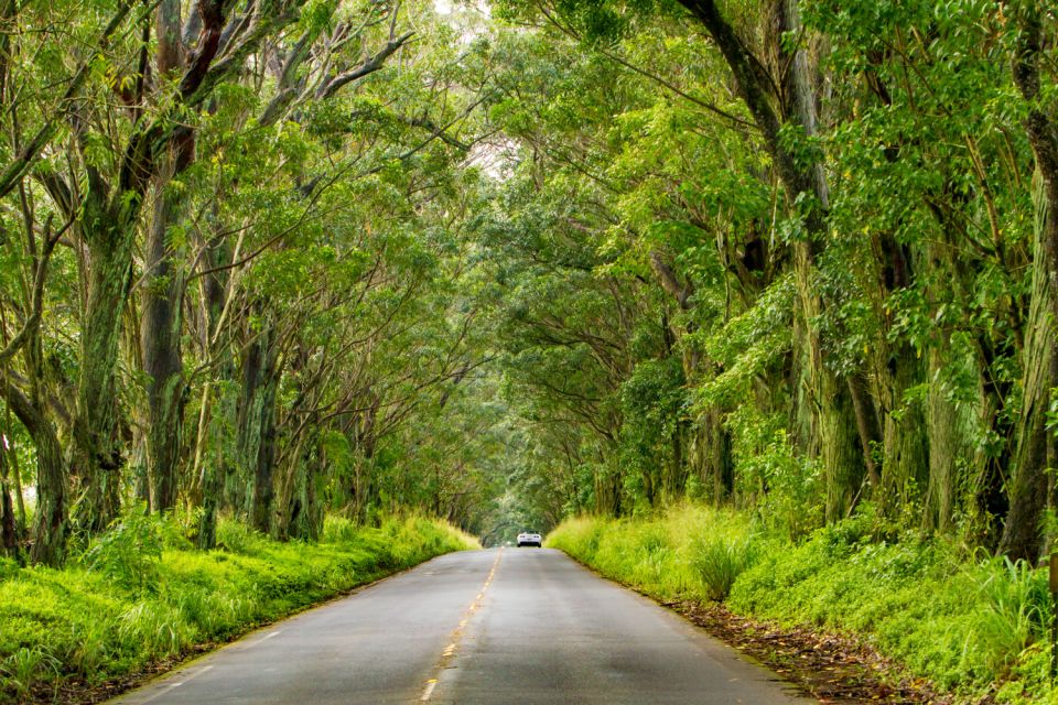 Kauai: Island Highlights Self-Guided Audio Driving Tour - What to Bring