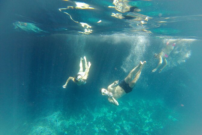 Kayak and Snorkelling Excursion at Maro-Cerro Gordo Cliffs - Negative Feedback Concerns