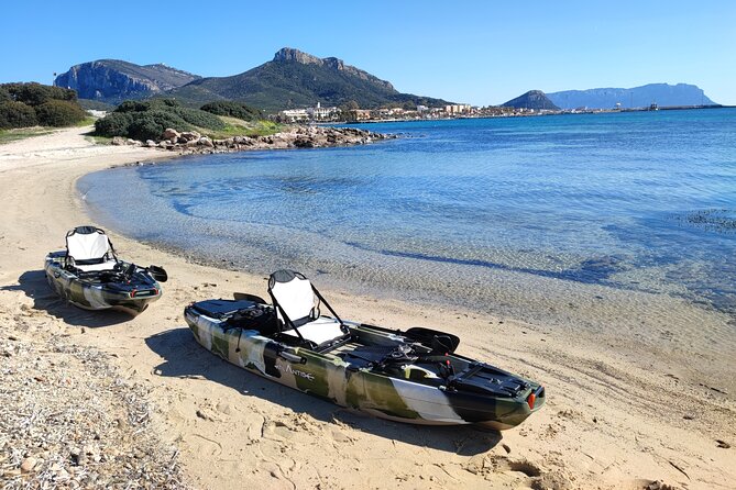 Kayak Tour in Golfo Aranci With Aperitif and Dolphin Watching - Experience Highlights