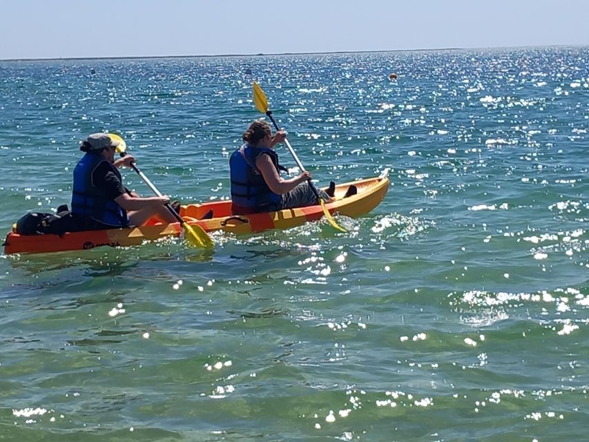 Kayak Tour in Ria Formosa - Olhão - Activity Description