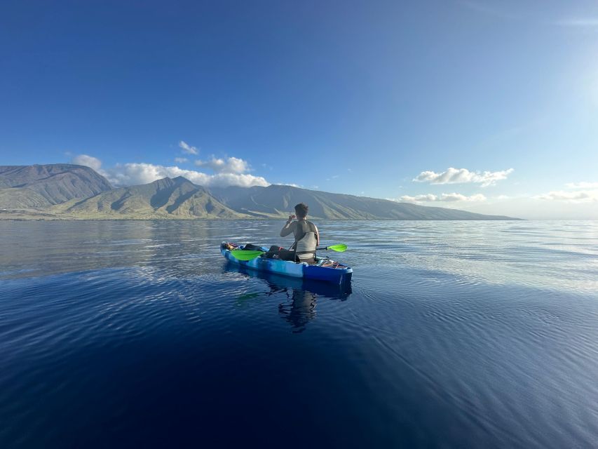 Kayak, Whale Watch And Snorkel At Turtle Town - Swimming Ability