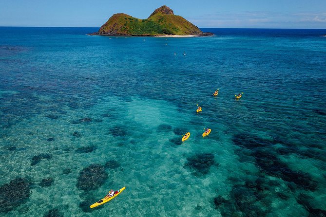 Kayaking Tour of Kailua Bay With Lunch, Oahu - Bird Sanctuaries and Popoia Island