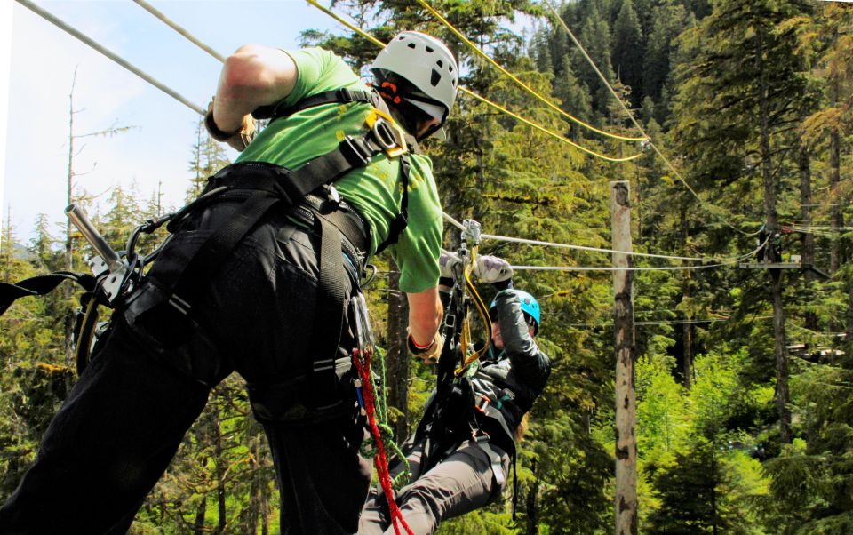 Ketchikan: Rainforest Zipline, Skybridge, & Rappel Adventure - Wildlife Sightings and Cultural Highlights